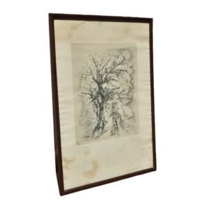 Federico Cantú Punta Seca Pastoral y Flora Firmado Grabado Original Surrealista