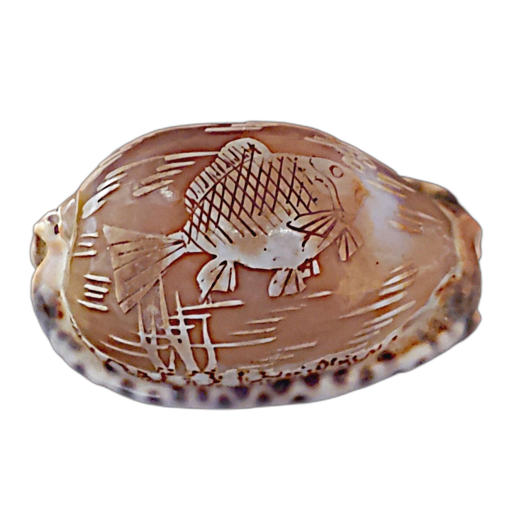 Concha Cowrie Tallada a Mano Vintage Arte de Pez Grabado Decoración Marina 10058
