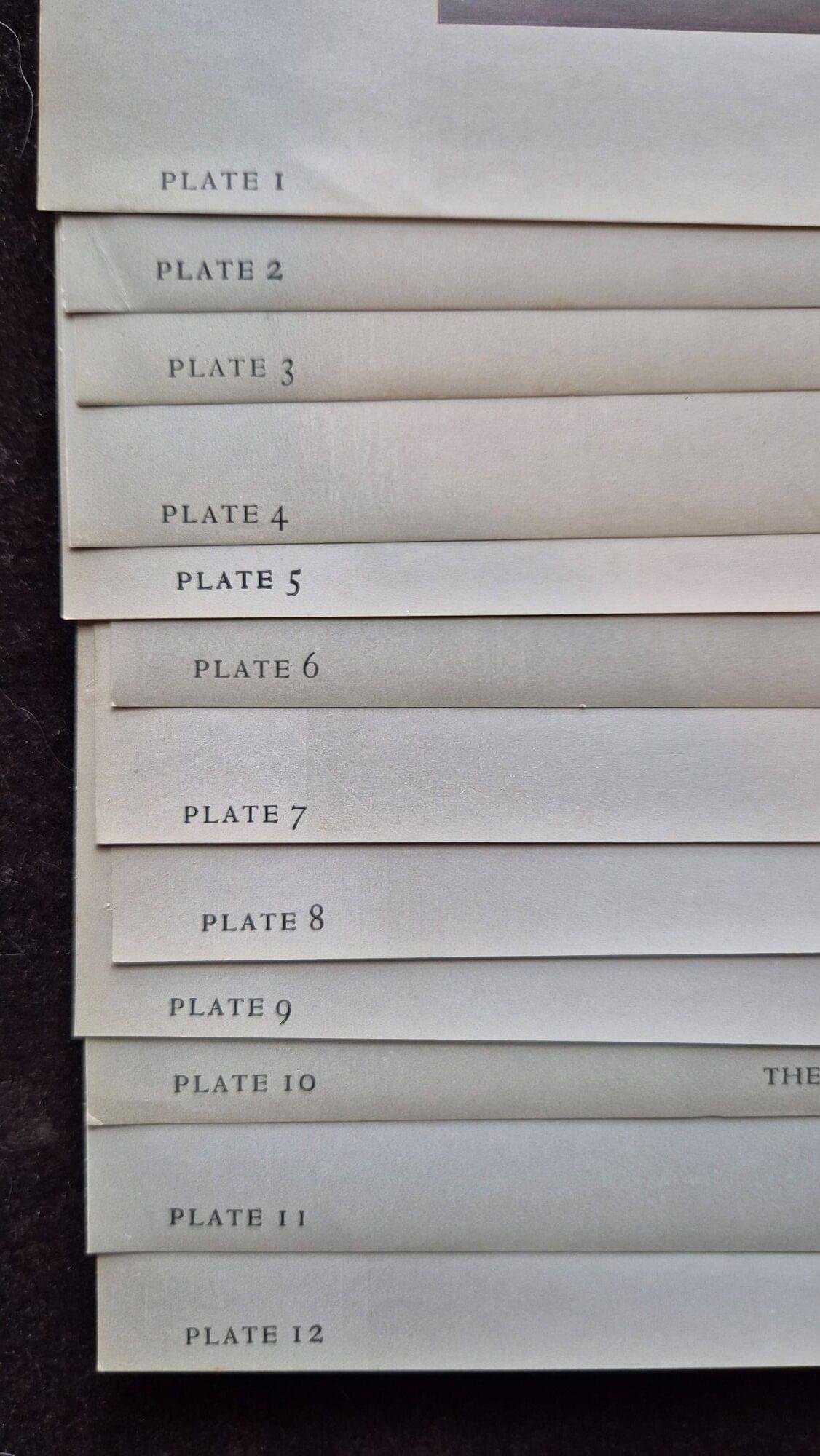 10072 3
